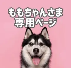 bサ18◯●ももちゃん様専用ページ●◯