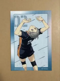 ハイキュー‼︎ ポストカード アニメイト特典 ウインターフェア　菅原孝支