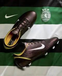 Item thumbnail for item 9f50fdb4-9aed-43d5-9961-f808887152bf