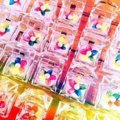 高級プリザーブドフラワー】パステル☆ レインボージャスミン