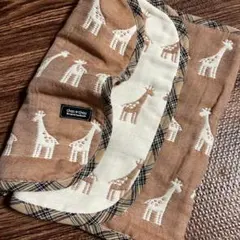 Item thumbnail for item 9c42ff48-f3e3-421d-8f25-82c7c85344ea