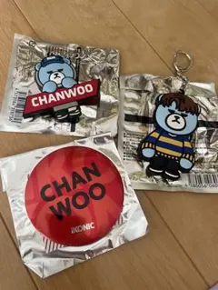 iKON KRUNK CHANWOO キーホルダー 缶バッジ セット
