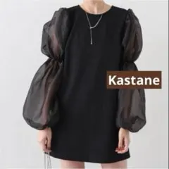 Kastane カスタネ　オケージョンドレス　ミニワンピース　チュール袖　黒　F