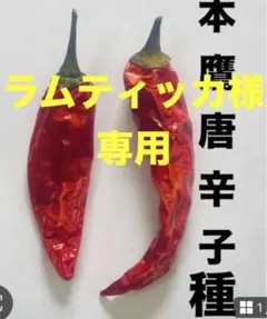 ラムティッカ様専用 種:唐辛子本鷹、サンマルツァーノ、ハラペーニョ