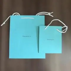 Tiffany & Co. ショップ袋 2枚セット　新品・未使用のサムネイル