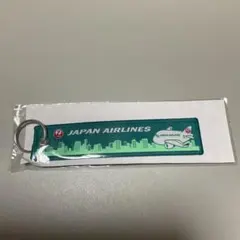 JAL 플라이트 태그