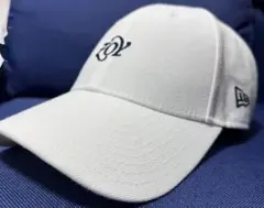 Item thumbnail for item 566ba930-7976-4012-9d13-695a40b26c95