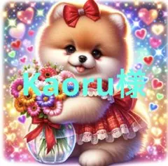 Kaoru様専用