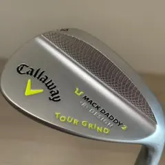 Item thumbnail for item 06d6caa1-4b4b-4c18-bd91-c7cd716b5b4f