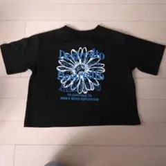 SUREVE Tシャツ ブラック