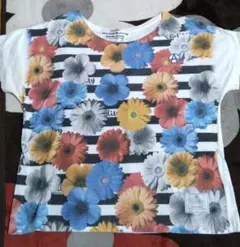 Item thumbnail for item aaf05d87-3e18-4990-bcbe-fcb2e22555da