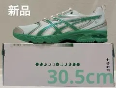 asics GEL-DS TRAINER 14 Hidden NY 30.5cm