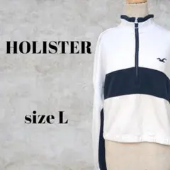 〇　HOLLISTER　ホリスター　ハーフジップ トレーナー　クロップド丈　L