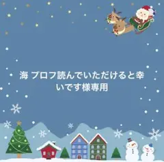 Hwara様　Christmas package 缶のみ
