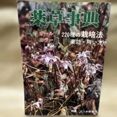 Item thumbnail for item 3044b33c-9c34-4152-94d8-915d5edad4cf