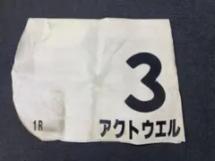 2026年最新】競馬 ゼッケン 実使用の人気アイテム - メルカリ