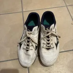 Item thumbnail for item b1fb3d4a-e9a7-4479-a8f8-e06f10d27ab7