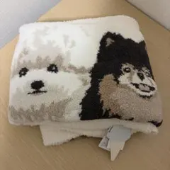 ジェラートピケ　犬3匹　パウダーDOG3柄　ブランケット　ジェラピケ