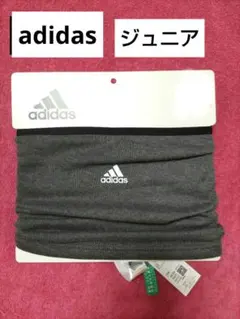 Item thumbnail for item 86de65b3-4ad0-4260-a715-bda414ec2c68