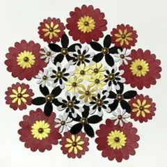 Item thumbnail for item d68093d2-009a-4a15-9520-22eb5b82597e