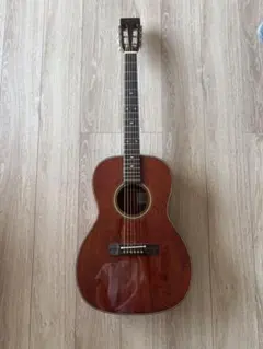 2026年最新】TAKAMINE PT-406の人気アイテム - メルカリ