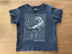 BREEZE 恐竜 Tシャツ 90cmのサムネイル