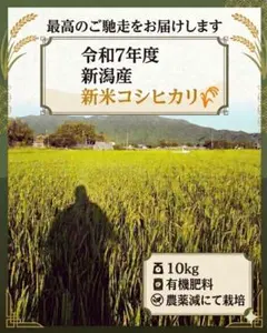 令和7年度 新潟産 新米コシヒカリ 10kgのサムネイル