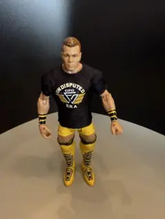 WWE フィギュア