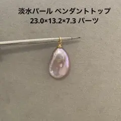 G167 淡水パール ペンダントトップ 23.0×13.2×7.3 パーツ