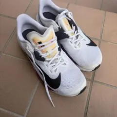 Nike FV6040-100 ランニングシューズ US 7