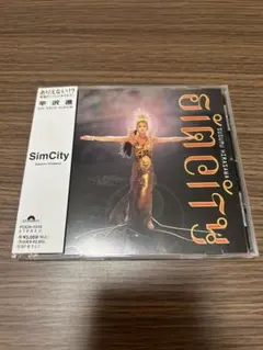 平沢進　sim city