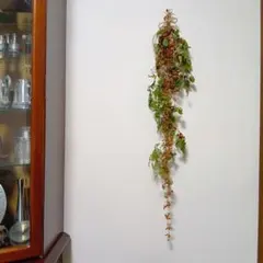 ヘクソカズラとタンキリマメ、カニクサのスワッグ　91cm [728]