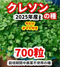 リナ様 リクエスト 2点 まとめ商品