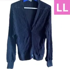 Item thumbnail for item d7c4aef4-f9b4-45ba-92ef-3ea6677cea83