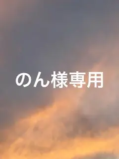 【のん様】専用・12月30日まで取り置き