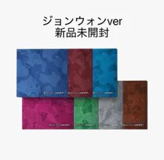 ENHYPEN THE SIN:VANISH ジョンウォン　新品未開封