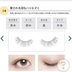 DOLLY WINK つけまつげ 14 愛され丸目なハリネズミのサムネイル