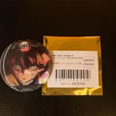 鬼滅の刃 我妻善逸 雷の呼吸ランダムアクションアニメーション缶バッジE