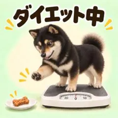 オーダーメイド 犬種別ステッカー オリジナルグッズ