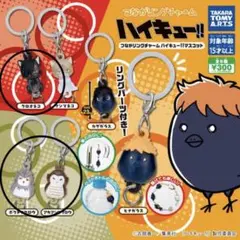 ハイキュー！！つながリングチャームハイキュー！！マスコット めじるしアクセサリー