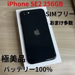 2026年最新】iphone se 第2世代 ジャンクの人気アイテム - メルカリ