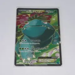 フシギバナEX SR XY1 コレクションX 061/060