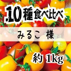 【ソムリエトマト】みるこ様専用