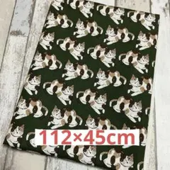 Item thumbnail for item 3384760b-ecd2-4424-99f4-e8df0d41cb61