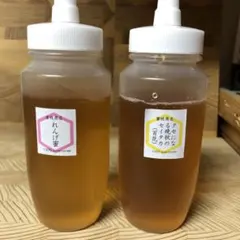 【非加熱・生はちみつ】れんげ250g&セイタカ百花蜜250g(2本セット)