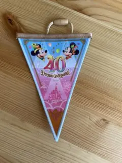 東京ディズニーリゾート 40th バナー