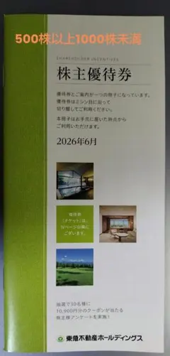 東急不動産ホールディングス 株主優待券　500株以上1000株未満のサムネイル