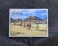 【続日本100名城.城カード】　　『勝瑞城』のサムネイル