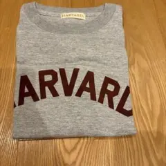 新品　グッドロックスピード　HARVARD Tシャツのサムネイル