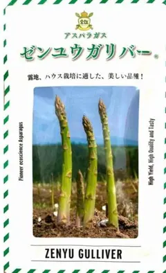 勝沼醸造 アルガブランカ イセハラ 2007 - メルカリ